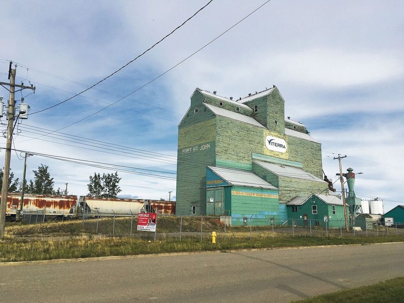 In Westkanada ist GVO-Raps kaum noch wegzudenken