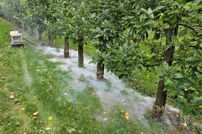 Auf den meisten Betrieben fehlt das Personal: Fürs Mausen bleibt kaum noch Zeit