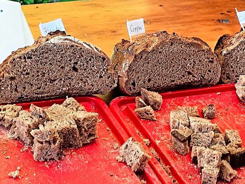 Degustation an der Flurbegehung: Sechs Brote – jedes mit Mehl einer anderen Dinkelsorte gebacken.