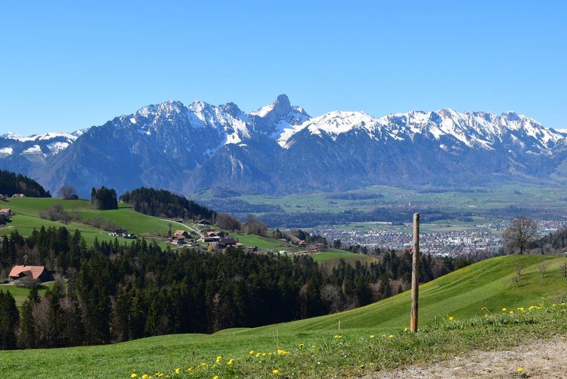 Forstunfall: David Baumann wurde vom Blutspender zum Blutempfänger