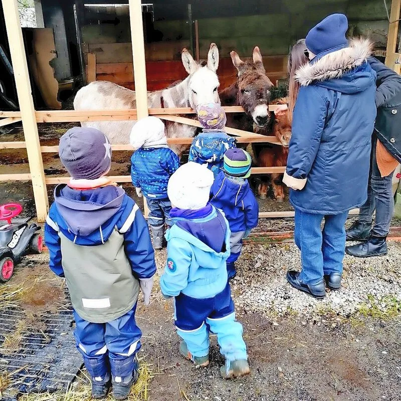 Die Hoftiere werden in das Betreuungsangebot auf dem Burehof Seelefride einbezogen.