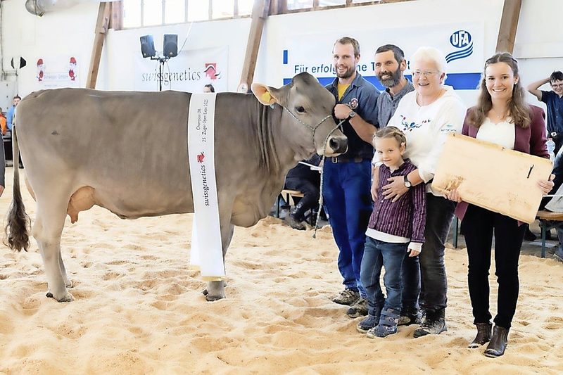 Die zehnjährige Jongleur-Kuh Dana wird Miss an der Zuger Expo