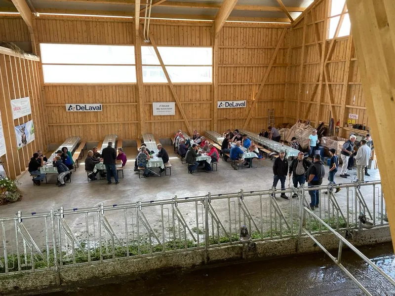 Wenn Freunde gemeinsam einen Stall bauen, können beide Seiten profitieren
