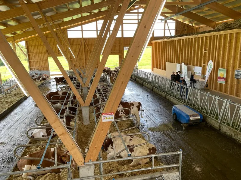 Wenn Freunde gemeinsam einen Stall bauen, können beide Seiten profitieren