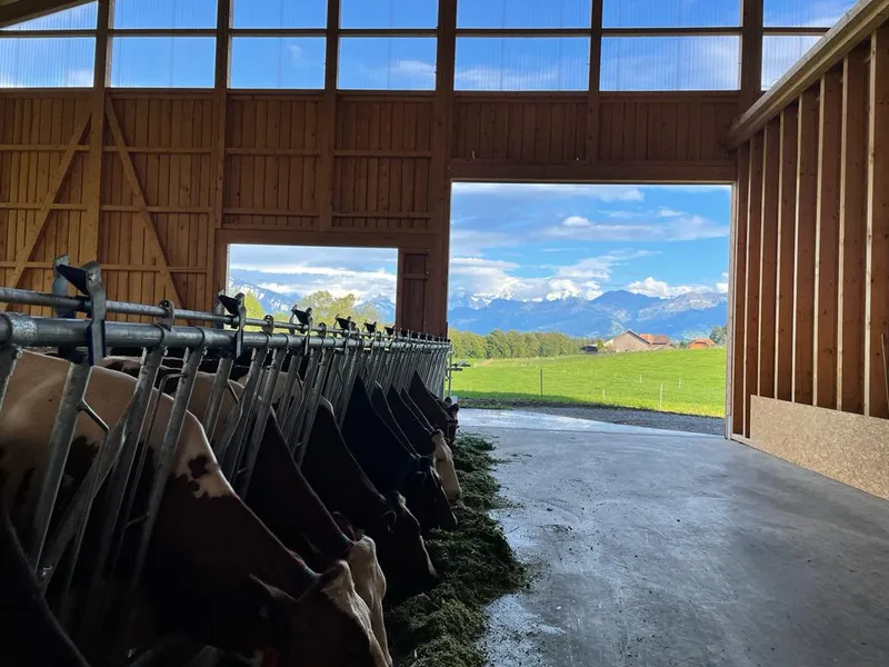Wenn Freunde gemeinsam einen Stall bauen, können beide Seiten profitieren