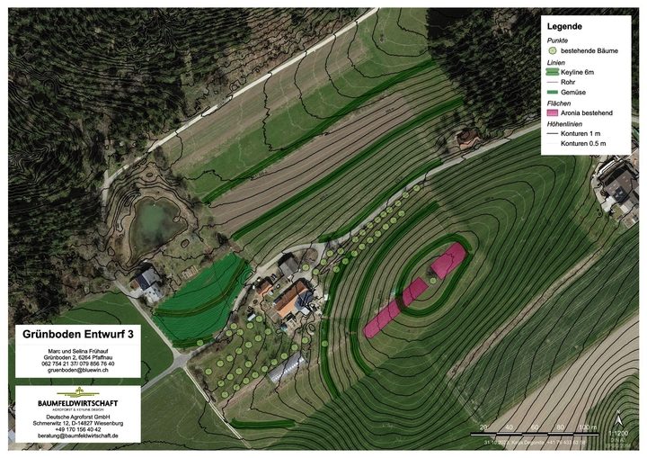 Auf der Planungskarte wurden die Keylines (dunkelgrün) eingezeichnet. Man sieht, dass sie meistens entlang von Höhenlinien verlaufen. Zur einfacheren Bewirtschaftung wurden sie teilweise etwas angepasst und verschoben (siehe oberste grüne Linie).