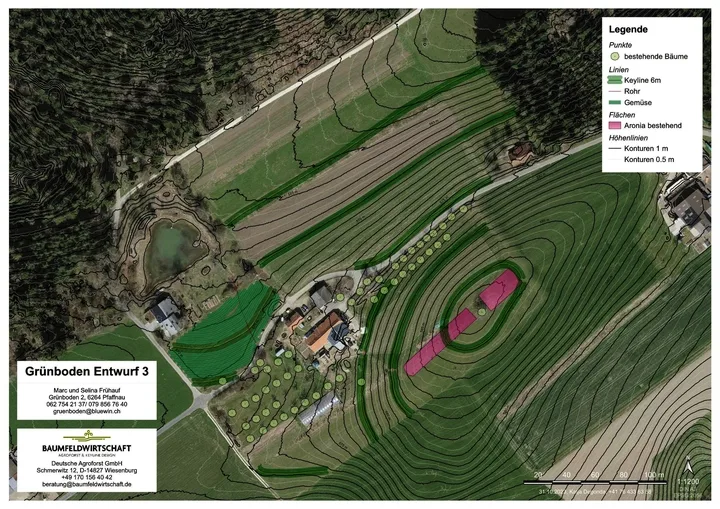 Auf der Planungskarte wurden die Keylines (dunkelgrün) eingezeichnet. Man sieht, dass sie meistens entlang von Höhenlinien verlaufen. Zur einfacheren Bewirtschaftung wurden sie teilweise etwas angepasst und verschoben (siehe oberste grüne Linie).