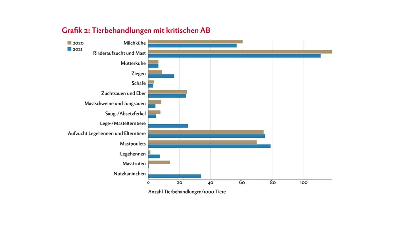 In der Grafik sind die Tierbehandlungen mit kritischen Antibiotika der Jahre 2020 und 2021 dargestellt. Unterschieden wird dabei zwischen einzelnen Nutztierkategorien.