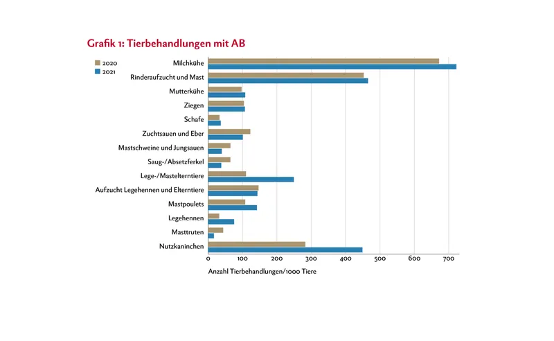 In der Grafik sind die Tierbehandlungen mit Antibiotika der Jahre 2020 und 2021 dargestellt. Unterschieden wird dabei zwischen einzelnen Nutztierkategorien.