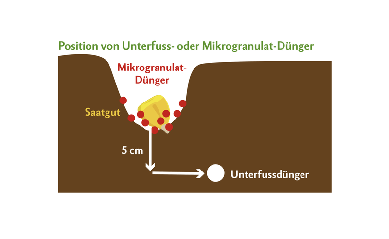 Das Mikrogranulat wird punktgenau zum Saatkorn abgelegt und versorgt dieses während der Keimphase mit Nährstoffen. Der Unterfussdünger hingegen wird mit Abstand platziert, damit der Mais die Nährstoffe über die Wurzeln aufnehmen kann.