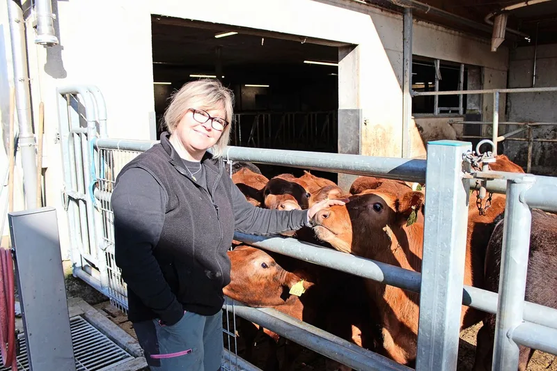 Conny Schmid liebt es, für die Mutterkühe und die Kälber zu sorgen.