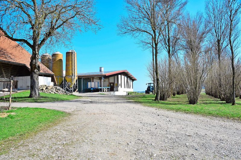 Der Mist aus der Poulethalle wird möglichst direkt ausgebracht und kommt bei Ritz‘ im Acker- und Futterbau zum Einsatz