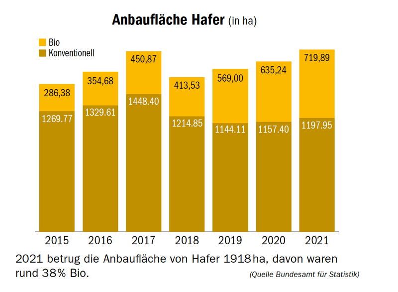Die Swiss Future Farm nimmt den Haferanbau unter der Lupe
