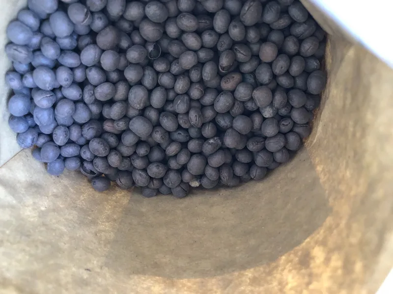 Lupinen sind das Superfood des Jahres, aber schwer zu verkaufen – bis jetzt?