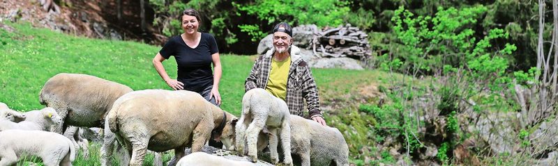 Brigitte Fässler und ihr Partner Peter Hefti geniessen die Arbeit mit ihren Tieren. Die vermehrte Präsenz von Grossraubtieren gefährde aber die Zukunft von kleineren Schafbetriebe.
