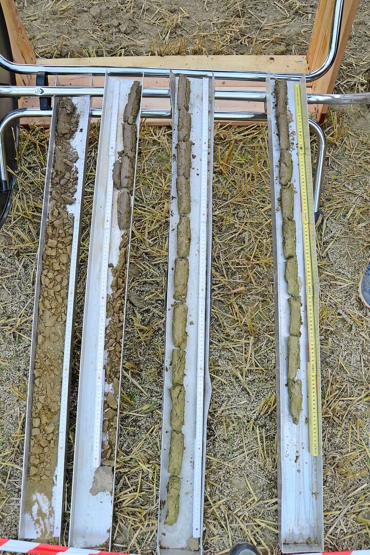 Vier Bohrkerne zeigen kleinräumig Unterschiede innerhalb einer Parzelle. Links: zweimal sandiger Boden; rechts: zweimal toniger Boden.