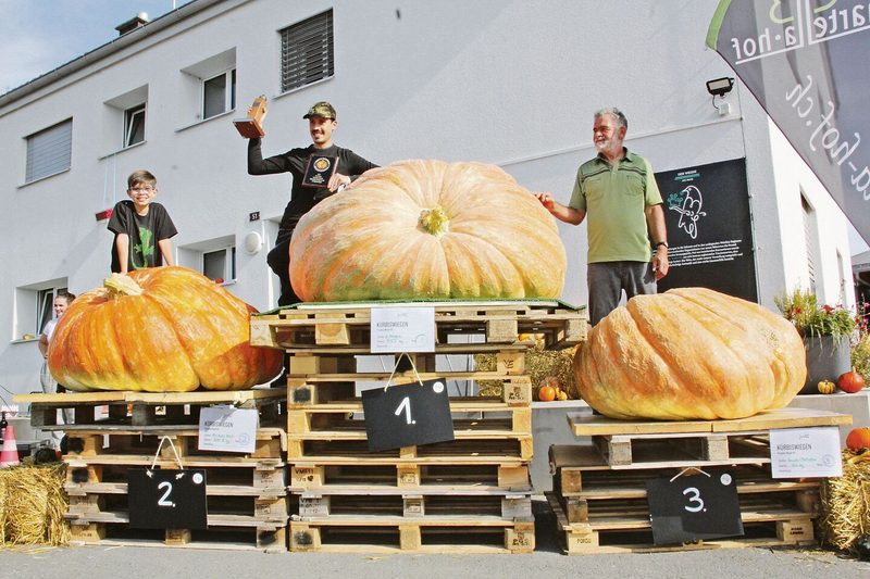 Gemüse so gigantisch wie im Märchen