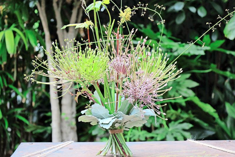 Floristinnen und Floristen schätzen Allium besonders, um Gestecke und Sträusse zu fertigen.