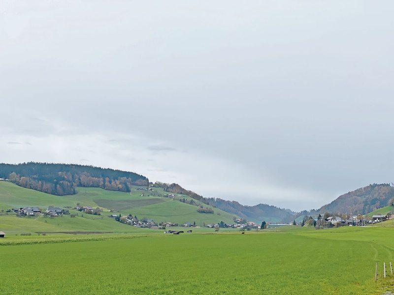 Zwischen den geschwungenen Hügeln von Walkringen sind Röthlisbergers zu Hause. Ihr Betrieb gilt als Kleinheim.