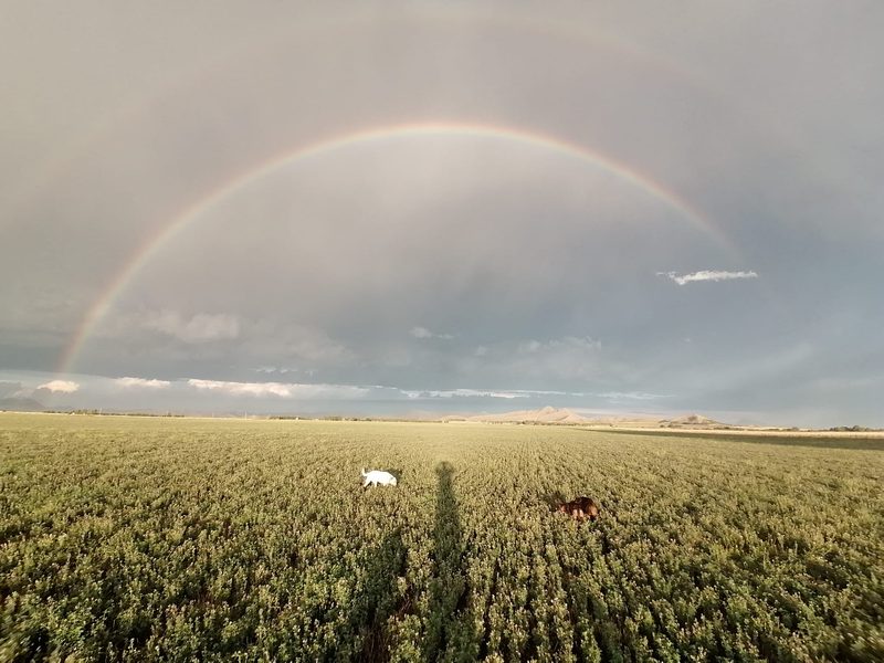 Hohe Inflation: «In Argentinien brauche ich kein Portemonnaie mehr – der Rucksack hat diese Aufgabe übernommen»