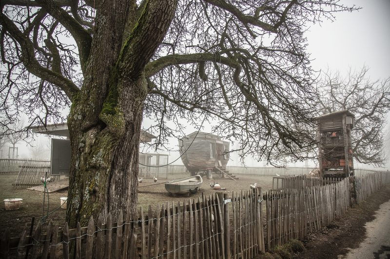Urs und Barbara Amreins «Archehof» gehört zu den Pro-Specie-Rara-Archehöfe, von denen es schweizweit zehn gibt. Auf diesen Höfen leben seltene Rassen: Bei Amreins sind es Appenzeller Spitzhaubenhühner, Rätisches Grauvieh und Bündner Strahlenziegen. Bild: Pia Neuenschwander