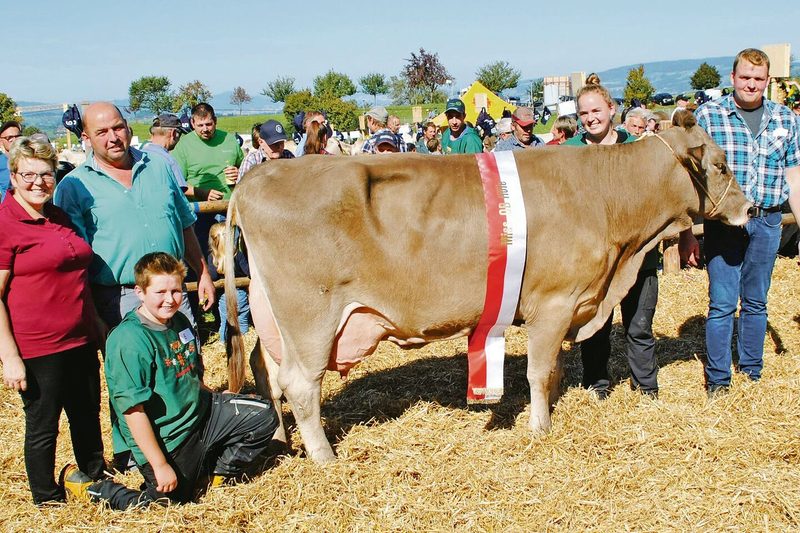 Miss OB der Bezirksviehschau Höfe in Schindellegi wurde Albertli-Tochter Axana von der GG Sigrist, Wollerau.