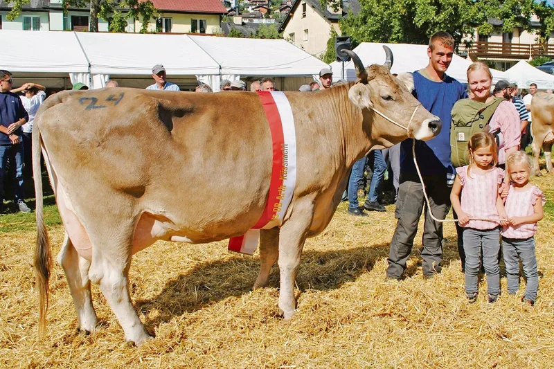 Miss Küssnacht OB Harlei Humana von Theo und Fabienne Marty, Goldau, mit den Kindern Alessia, Milena und Elias.