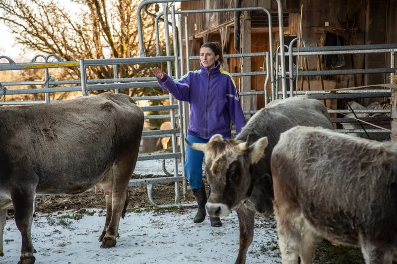Anna Böhlen bringt die fünf Mutterkühe mit ihren Kälbern auf die Weide. Die Fleisch-Direktvermarktung ist aktuell der wichtigste Betriebszweig. Bild: Pia Neuenschwander