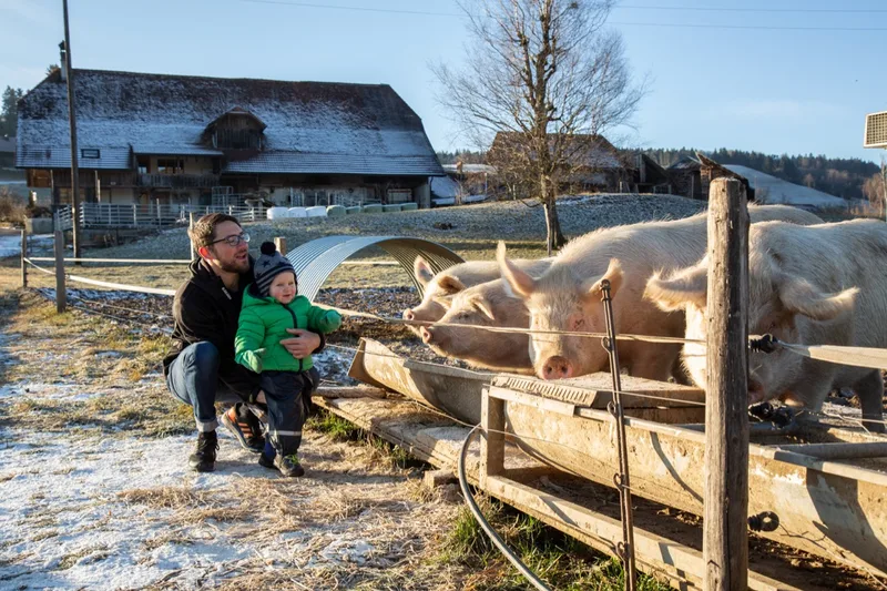 Christian Böhlen mit Nicola vor den «Haustier»-Schweinen - diese waren ein Hochzeitsgeschenk. Bild: Pia Neuenschwander