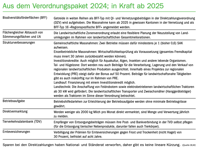Das ändert 2025: Verordnungen und Neues aus den Branchen