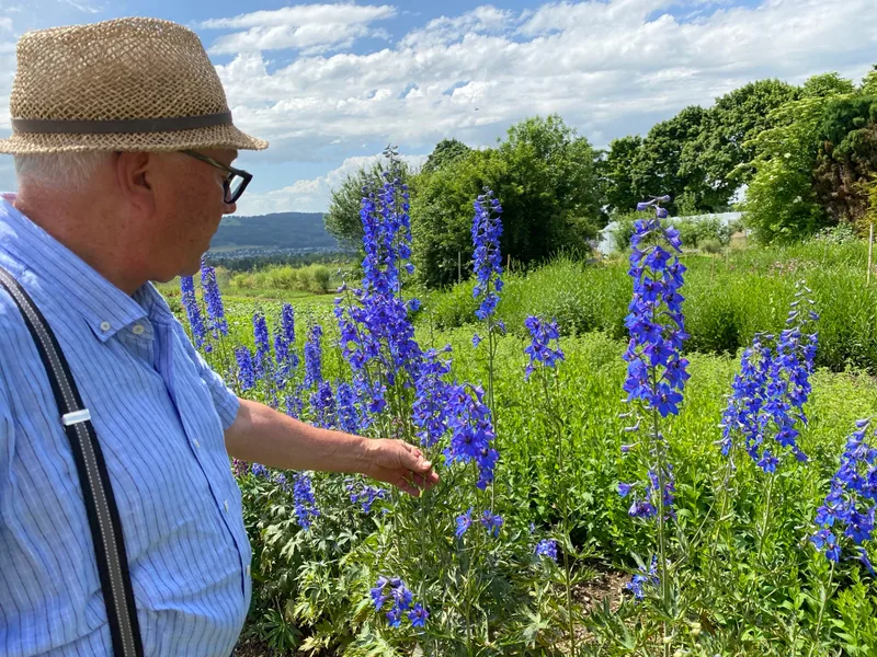 Der «Kassensturz»-Wildblumen-Sieger vom Schwand