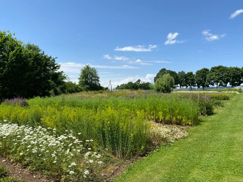 Der «Kassensturz»-Wildblumen-Sieger vom Schwand