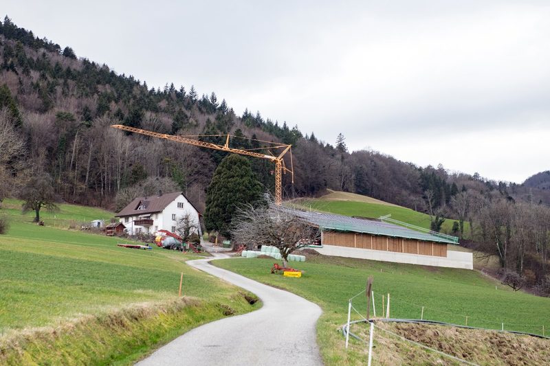 «Einander auf Augenhöhe begegnen»: Wie Petra Garigliano Soziales und Landwirtschaft verbindet