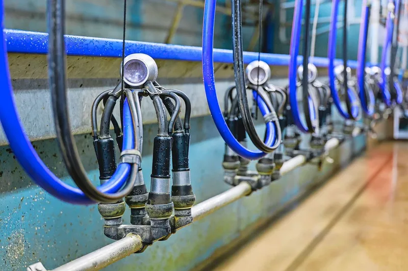 Mithilfe der Vollkostenrechnung kann Transparenz bis hin zum Arbeitsverdienst pro Stunde geschaffen werden. In der Milchproduktion ist die Arbeit der mit Abstand grösste Kostenfaktor.