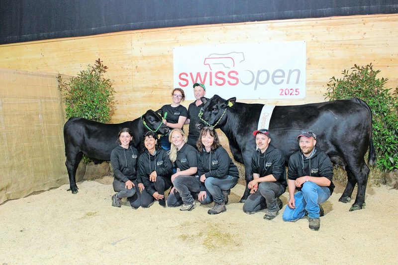 Michel und Rahel Fäh aus Ballens VD stellten mit der Kuh Green Valley Cosy die Champion der Rasse Angus.
