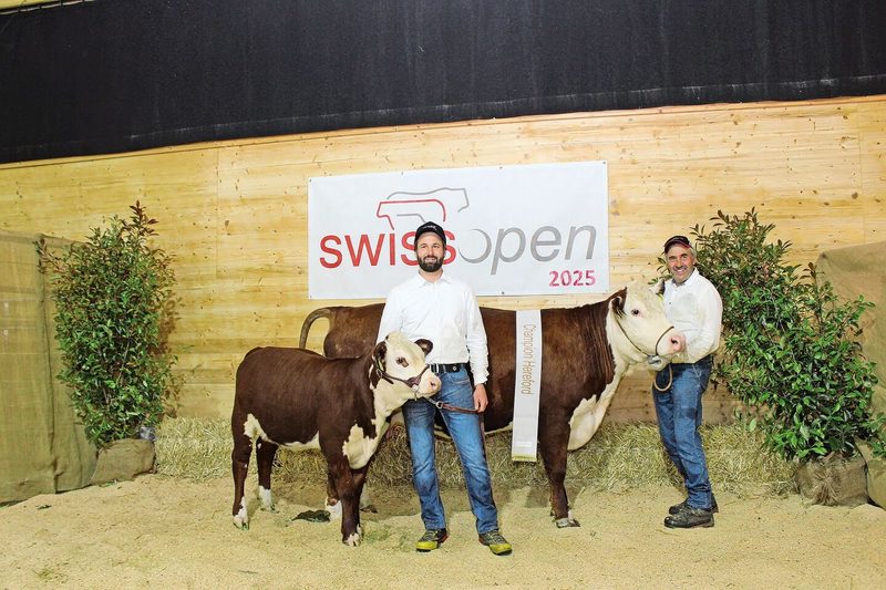 Thomas Tarnutzer aus Schuders GR (rechts) mit der Rassenchampion der Hereford, Kuh Tonja mit Kalb.
