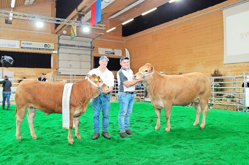 Franz (links) und Elia Burri präsentieren die Champion der Rasse Limousin, Burri’s Colett.