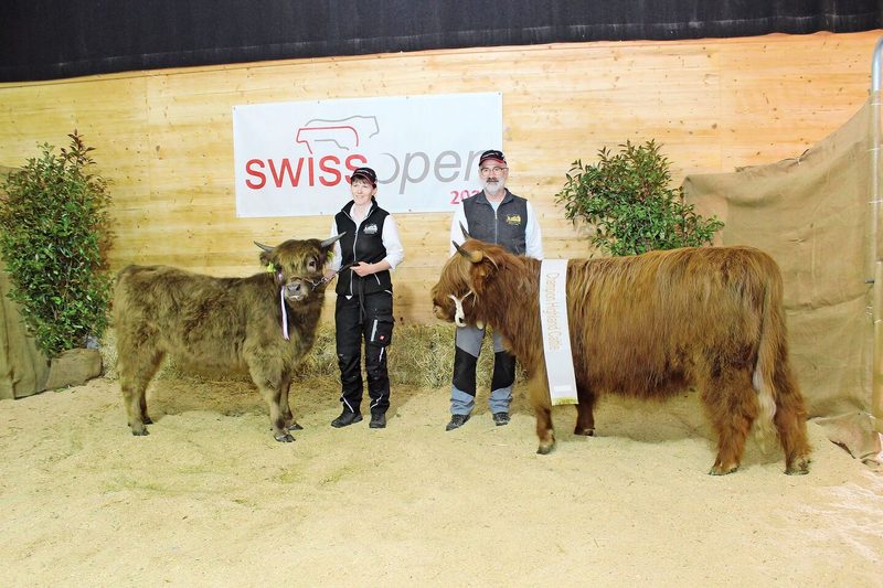 Champion bei den Highland Cattle wurde Shona of Stonehill von Regula und Max Flückiger, Leimiswil BL.