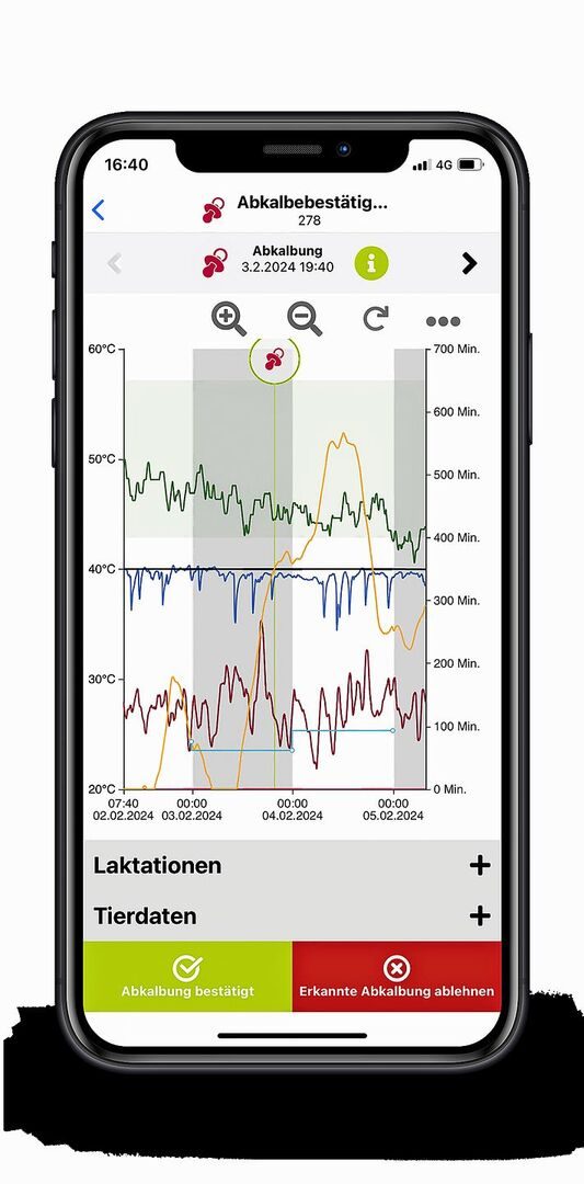 Benachrichtigung via Handy: Die Abkalbeerkennung von Smaxtec basiert auf einem typischen Temperaturabfall (blaue Kurve) vor der Geburt.