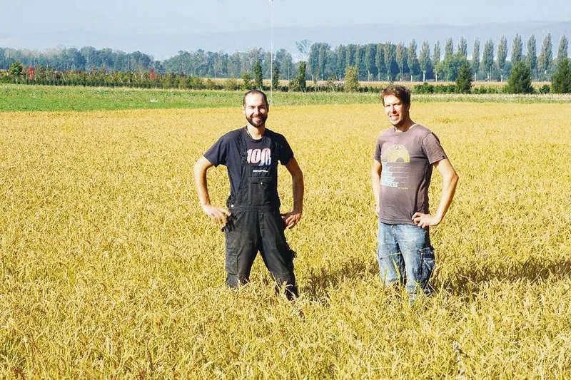 «Nassreis tut trotz Wasserverbrauch viel für die Natur»