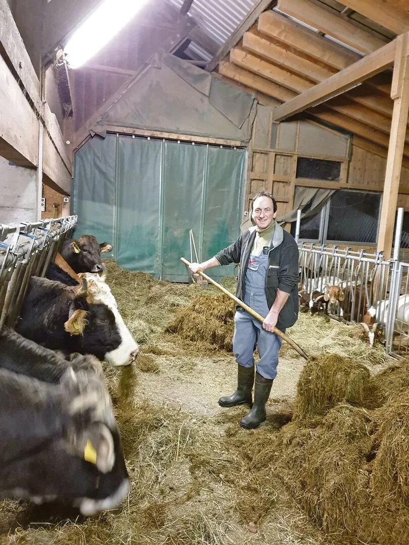 Der Urner Präsident Wendel Loretz im Stall beim Füttern des Rindviehs.