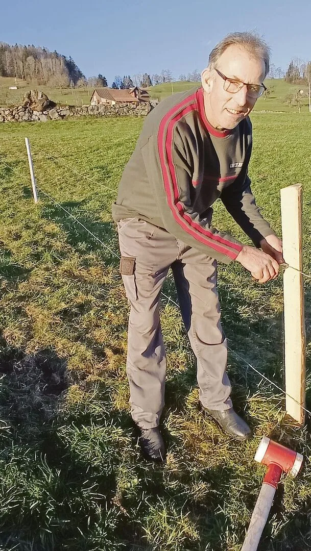 Der Nidwaldner Präsident Sepp Odermatt kontrolliert den Zaun der Herbstweide.