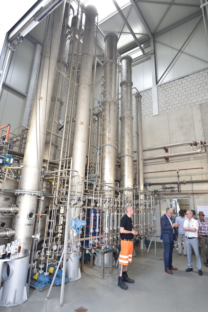 Aus Schweizer Rüben gibt es Zucker, Futter, Erde – und Ethanol
