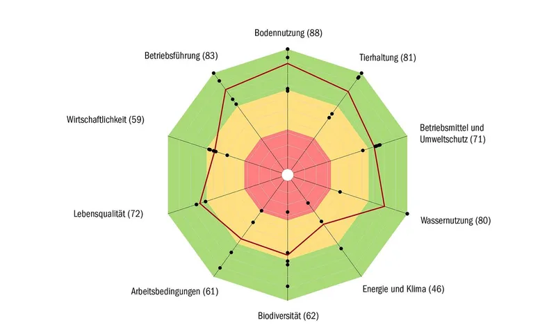 Das Resultat einer Rise-Analyse, hier eines fiktiven Betriebs, ist ein Polygon mit zehn Themen, die entweder negativ, mittel oder positiv beurteilt werden.