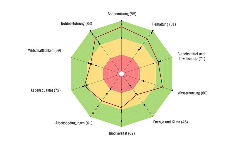 Das Resultat einer Rise-Analyse, hier eines fiktiven Betriebs, ist ein Polygon mit zehn Themen, die entweder negativ, mittel oder positiv beurteilt werden.