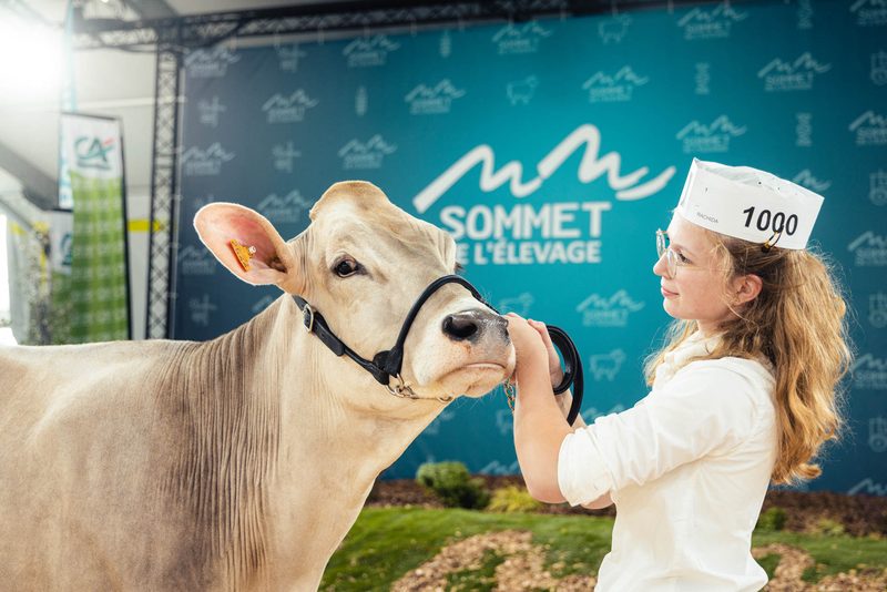 Viehzüchter treffen sich beim SOMMET