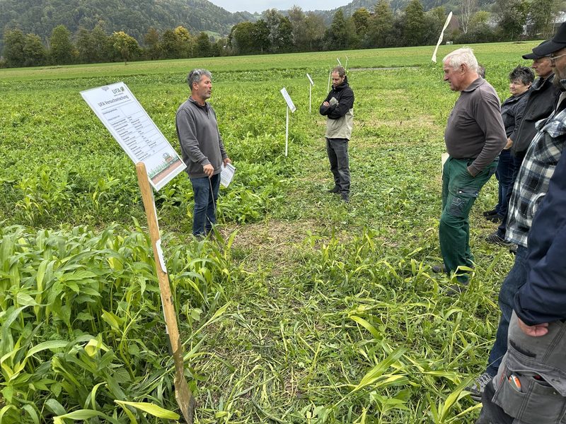 Direktsaat: So bringt Armin Steiner mehr Luft in seine Böden