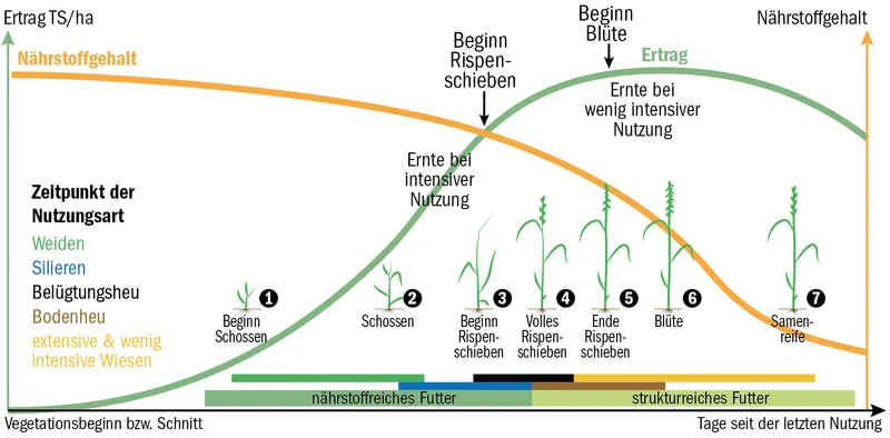 Der erste Schnitt steht an