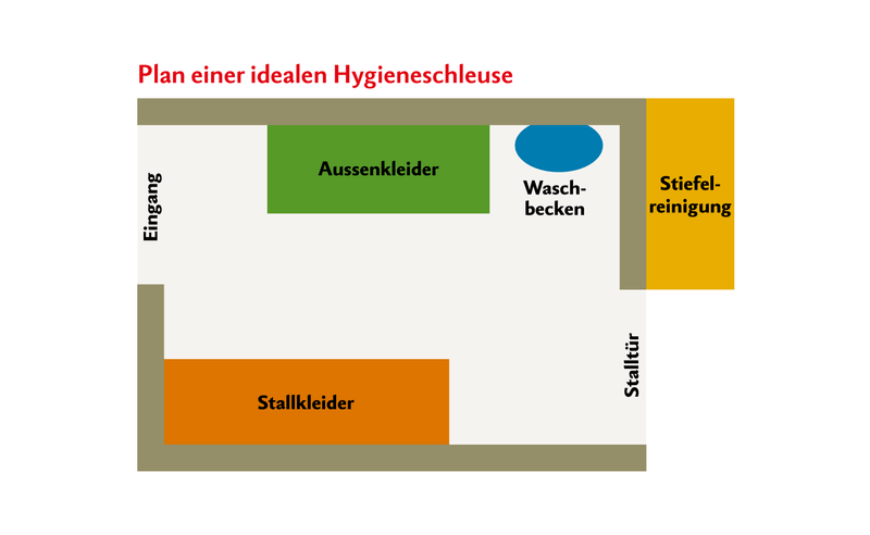 Skizze zeigt die Konzipierung einer idealen Hygieneschleuse, mit einem Bereich für die Stallkleider, einem Waschbecken und einer Stiefelreinigung.