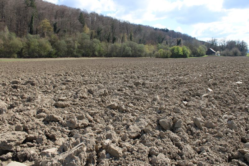 Ohne Chemie gegen Unkraut: Deshalb setzen viele Bauern nach wie vor auf den Pflug